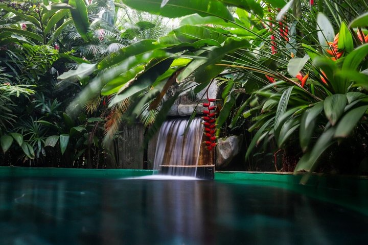 Arenal Hot Springs + Arenal Volcano from San Jose with Lunch - Photo 1 of 25